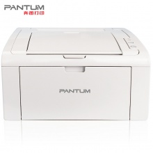 奔图(PANTUM) P2506 Pro系列打印机黑白激光家用学生机办公机